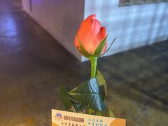 -西街夜油条·麻团包乌饭