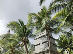 -清水湾旅游度假区