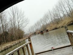 -溱湖国家湿地公园