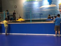 -蒙特利亲子乐园