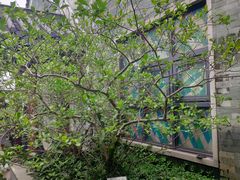 -广州神农草堂中医药博物馆
