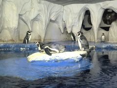 -太平洋海底世界