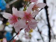 -求水山公园