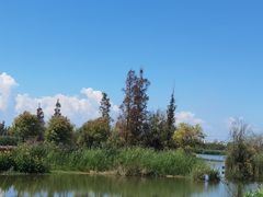 -呈贡滇池生态湿地公园