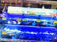 -新海渔港·胶东海鲜家常菜·家宴(奥体中心店)