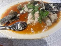 -同乐轩