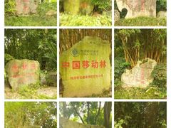 -邓小平故里