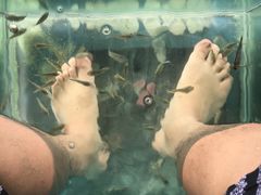 -重庆海昌加勒比海水世界