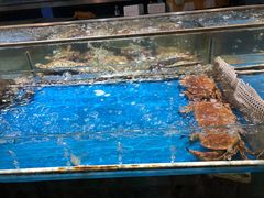 -天津金元宝滨海农产品交易市场(共发大道)