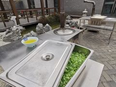 -菊园百果园