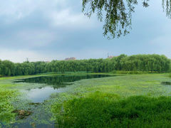 -东坝千亩湖公园
