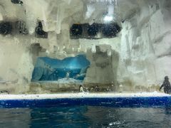 -西安华夏文旅水世界