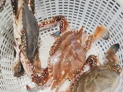 -蓝珊瑚蒸汽海鲜餐厅(龙奥店)