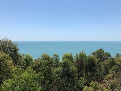 -广东惠东海龟国家级自然保护区
