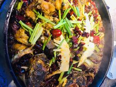 -老板恋上鱼(恒隆广场店)