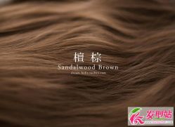 -阪川造型salon
