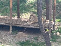 -石家庄市动物园