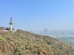 -岳麓山风景名胜区