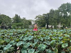 -惠州西湖风景名胜区-丰渚园