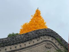 -西安市广仁寺