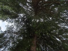 -新疆那拉提国家旅游度假区