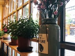 靠窗位-Cafe Alice咖啡爱丽丝(奥城店)