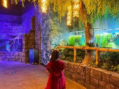 -沈阳海洋探索中心