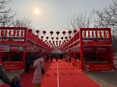-北京凤凰岭