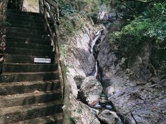 -东天目山风景区