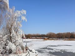 -大兴滨河森林公园