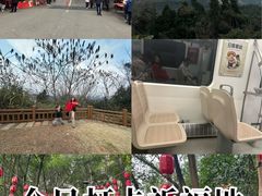 -老君山