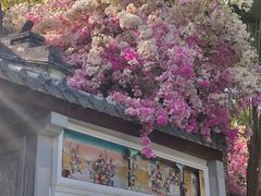 -深圳国际园林花卉博览园