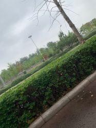 -HEYAN长风荷妍专业脱毛美肤
