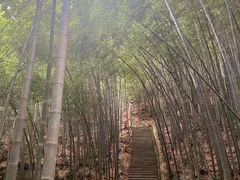 -敬亭山风景名胜区