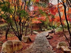 -崂山九水游览区