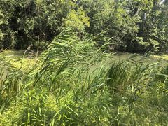 -昆山城市生态森林公园