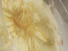 参汤养生火锅-叶叶菩提·晋福宫