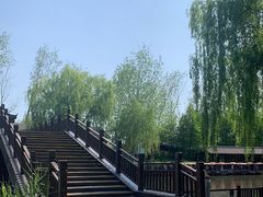 -溱湖国家湿地公园