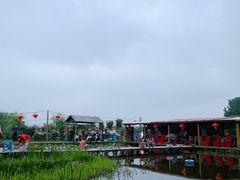 -同銮特种养殖场·龙虾垂钓