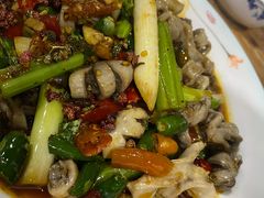 -桐梓锅贴饺(桃源东路店)