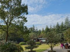 -陶祖圣境风景区