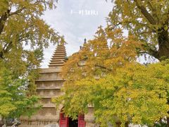 -北京石刻艺术博物馆(五塔寺)