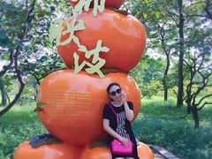 -苏州吴中太湖旅游区