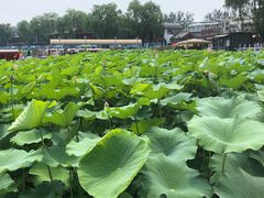 -小王府(什刹海店)