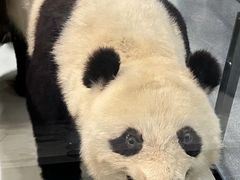 -浙江自然博物院(杭州馆)