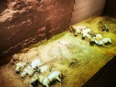 -秦始皇帝陵博物院-丽山园
