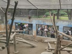 -成都动物园