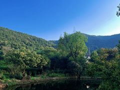 -树山生态村