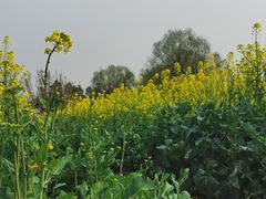 -国际非物质文化遗产博览园