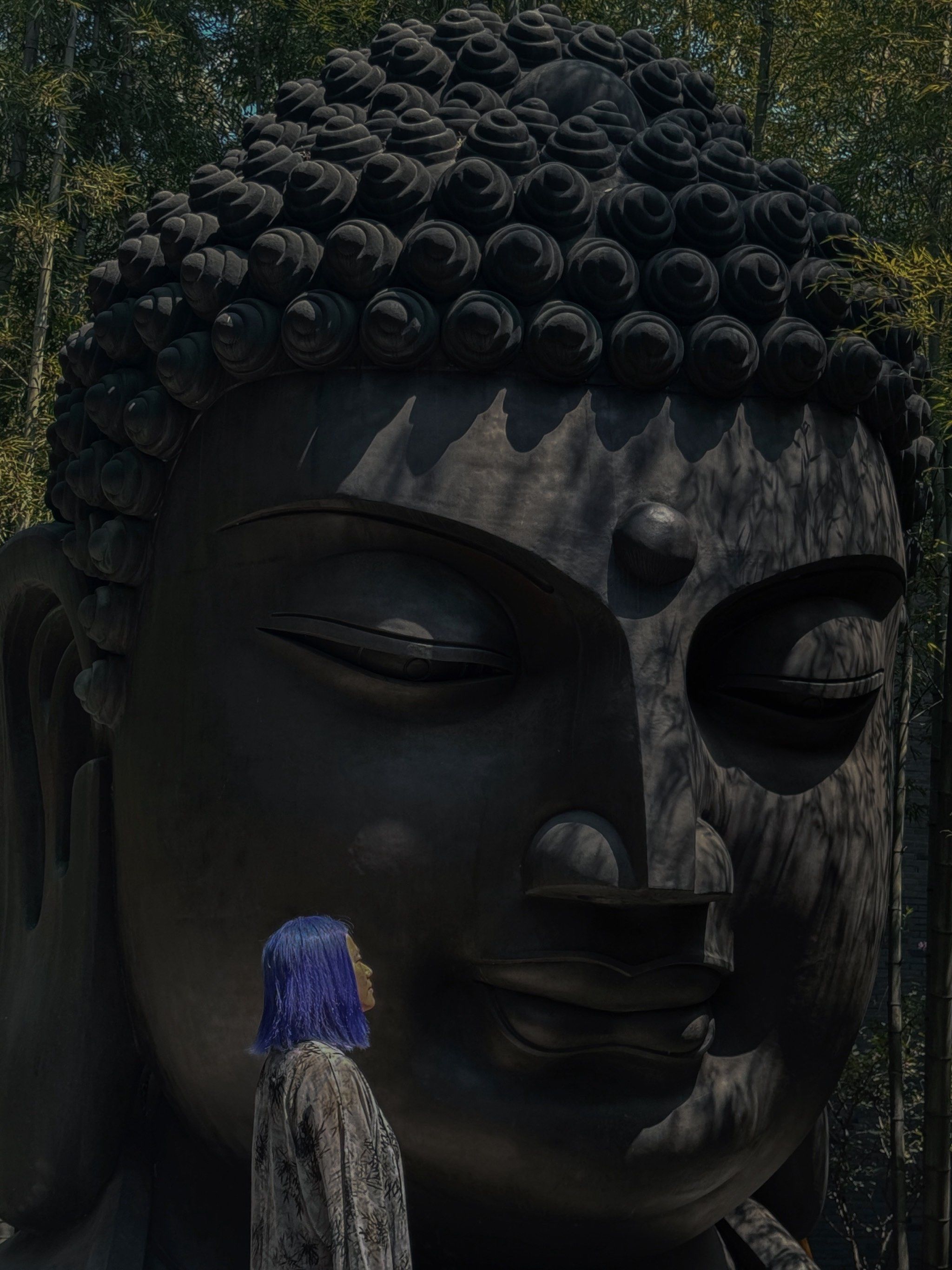 终于一睹这尊大佛头